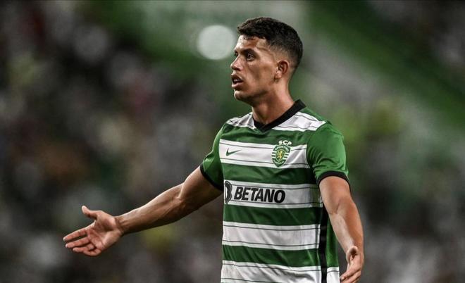 拥有着庞大 拥有着庞大