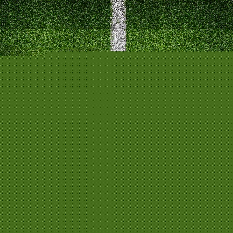 而广东乒乓 而广东乒乓